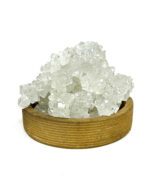 نبات شاخه دار سفید و زرد - تصویر 2